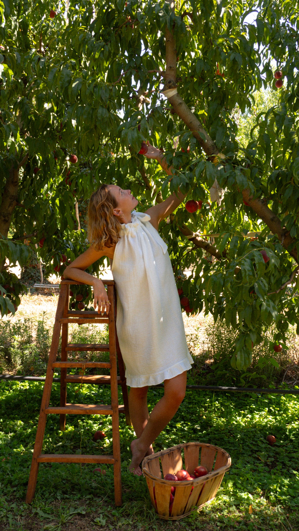 Robe-Nube