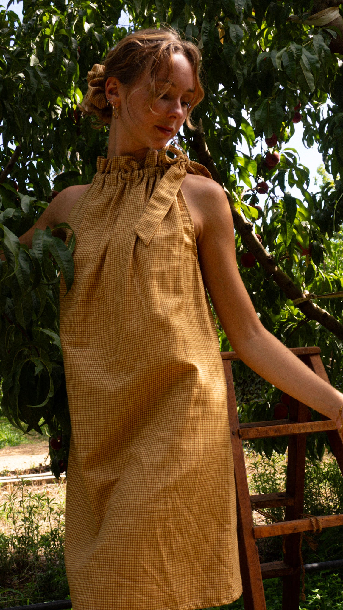 Robe-Caramelo de Campo