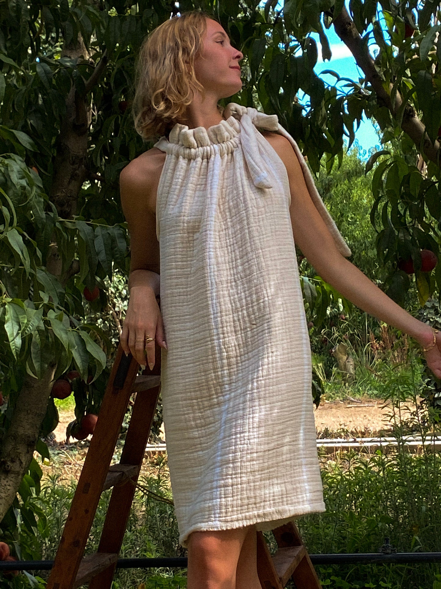 Robe-Tierra Clara